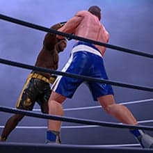 Fighting Games category icon