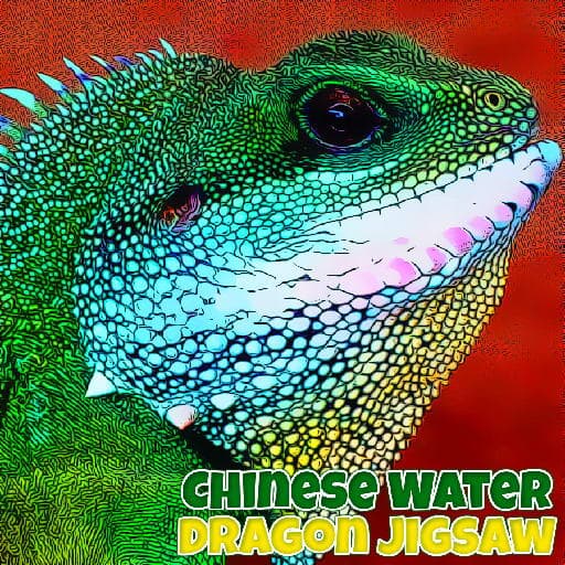 Chinese Water Dragon Jigsaw game thumbnail