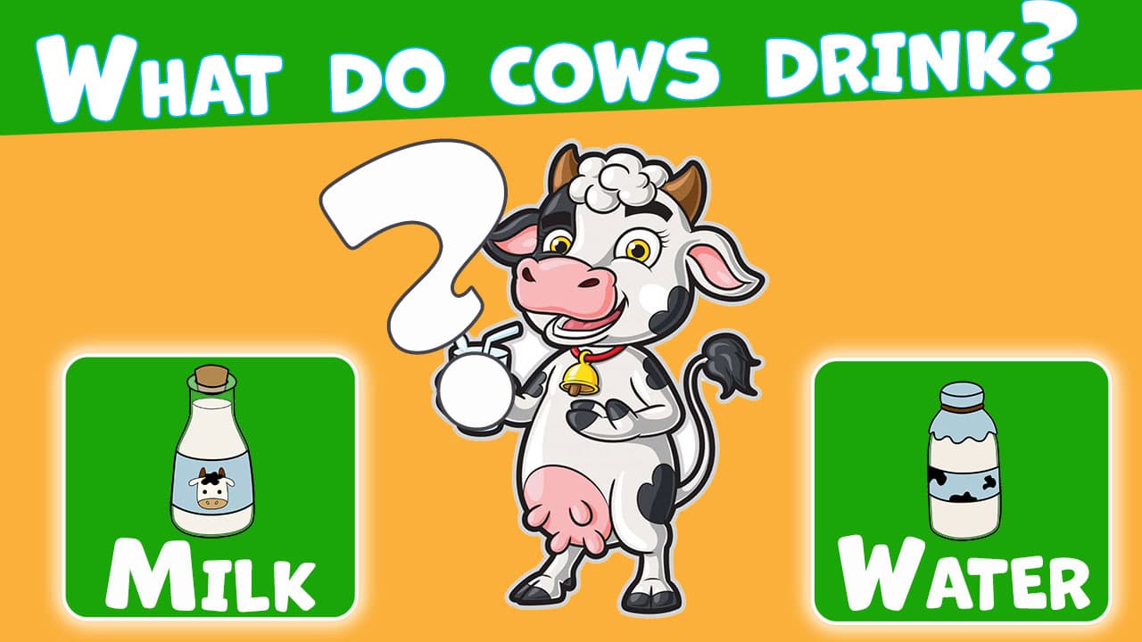 Trivia! Best family quiz  game thumbnail