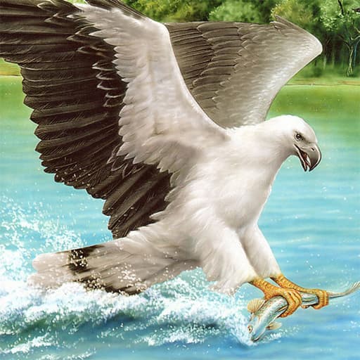 Birds of Prey Slide game thumbnail