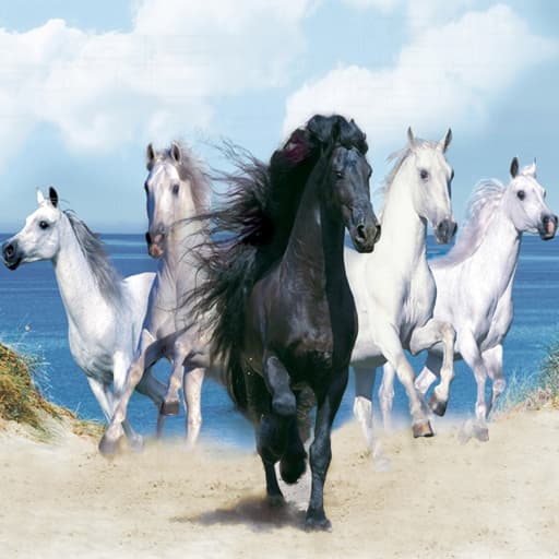 Horses Puzzle game thumbnail