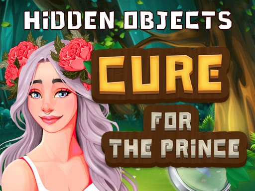 Hidden Objects Cure For The Prince game thumbnail