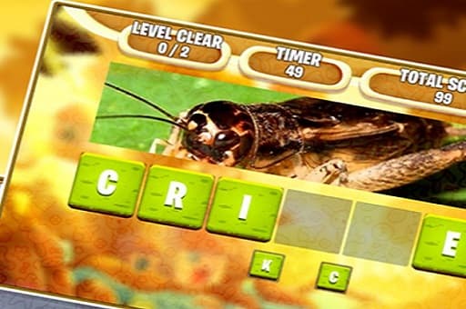 Kids Scrambled Word game thumbnail