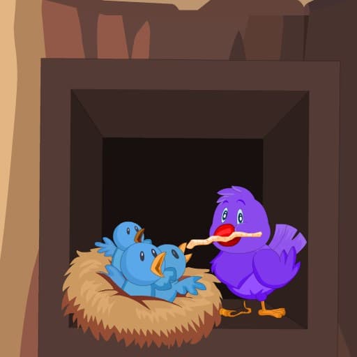Pink bird recuse game thumbnail