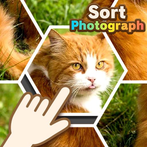 Sort Photograph game thumbnail