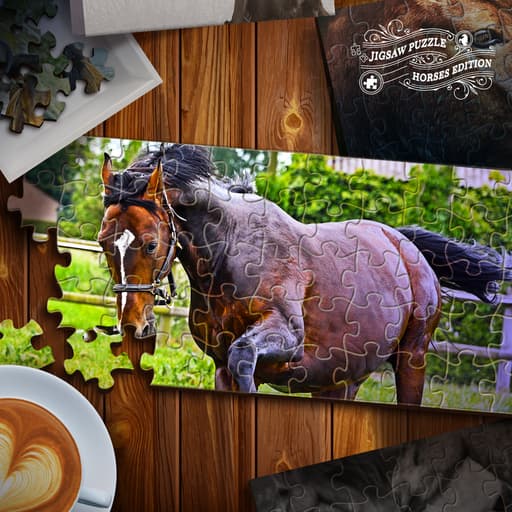 Jigsaw Puzzle Horses Edition game thumbnail