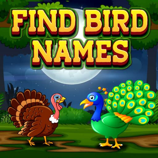 Find Birds Names game thumbnail