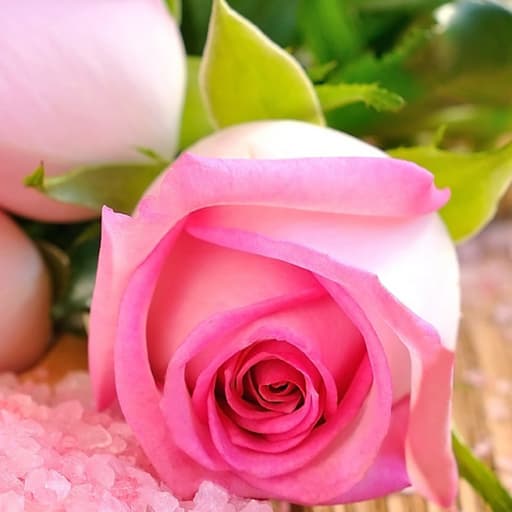 Pink Roses Puzzle game thumbnail