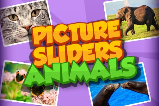 Picture Slider Animals game thumbnail