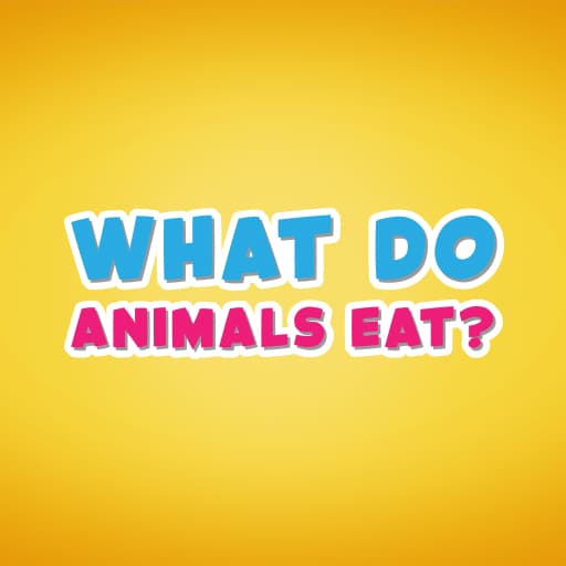 What do animals eat game thumbnail