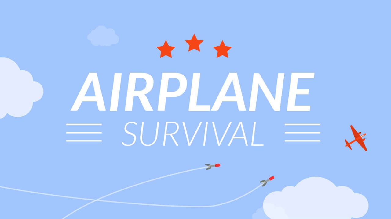 Airplane Survival game thumbnail