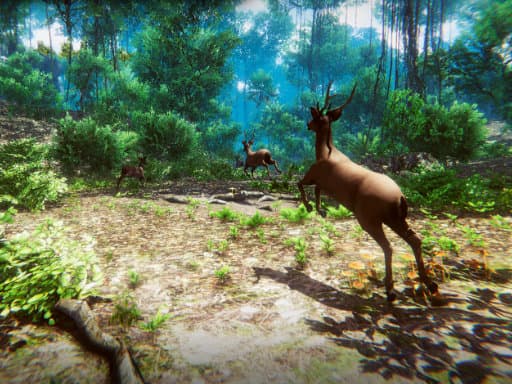 Hunter 3D game thumbnail