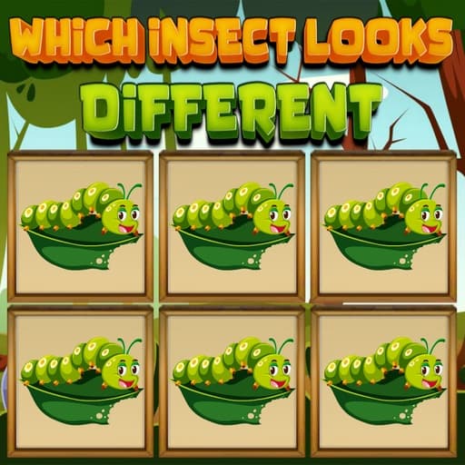Which Insect Looks Different game thumbnail
