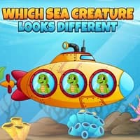 Which Sea Creature Looks Different game thumbnail