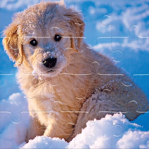 Winter Pets Puzzle game thumbnail
