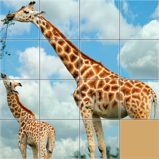 Animals Slide Puzzle game thumbnail