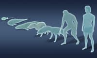 Idle Evolution From Cell to Human game thumbnail
