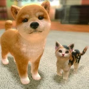 Adopt a Cat or Dog To Your Family game thumbnail