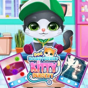 Doc Honeyberry Kitty Surgery game thumbnail