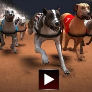 Greyhound Racing game thumbnail
