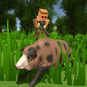 Pixel Hunting.io game thumbnail